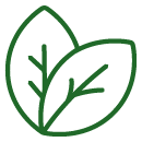 HERBS & BOTANICALS