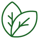 HERBS & BOTANICALS