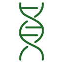CELLULAR HEALTH