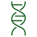 CELLULAR HEALTH