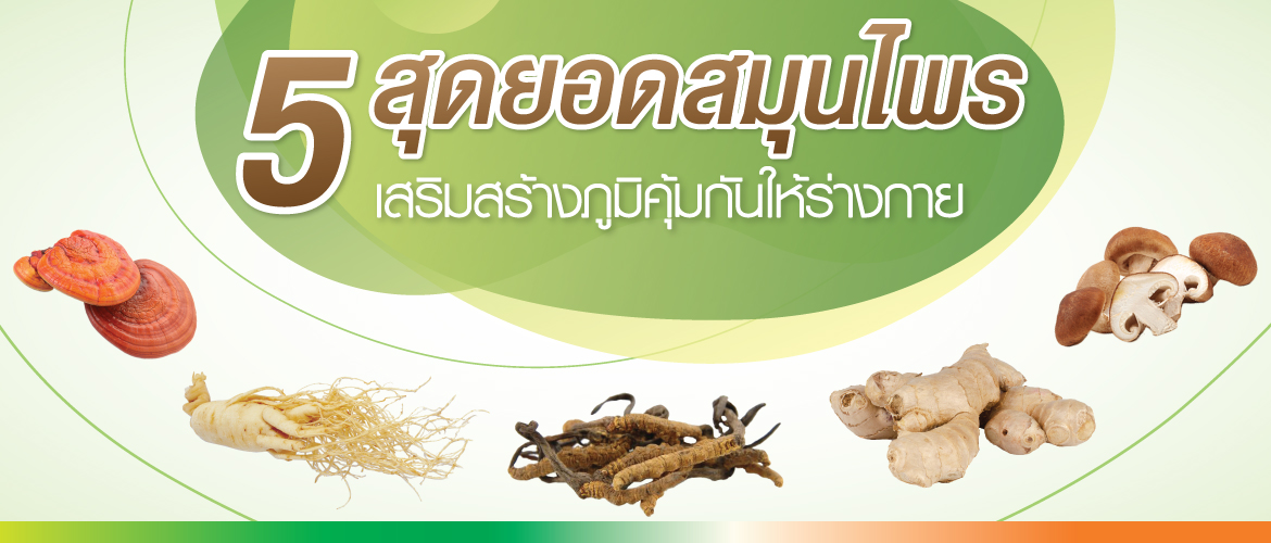 5 สุดยอดสมุนไพร เสริมสร้างภูมิคุ้มกันให้ร่างกาย