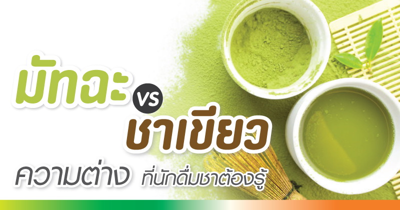 มัทฉะ & ชาเขียว ความต่างที่นักดื่มชาต้องรู้