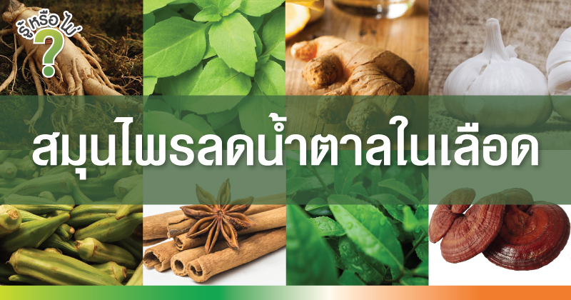 สมุนไพรลดน้ำตาลในเลือด