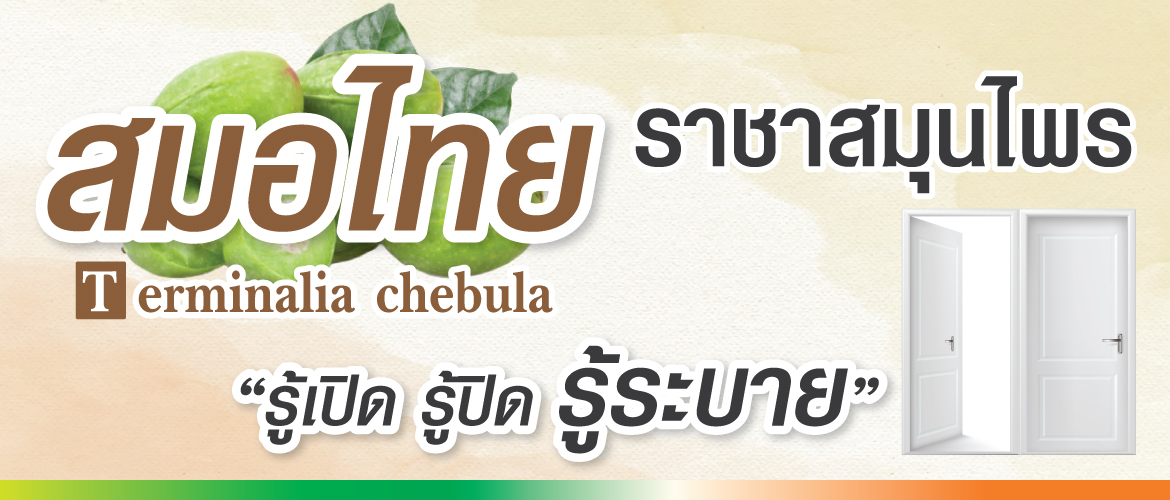 สมอไทย ราชาสมุนไพร “รู้เปิด รู้ปิด รู้ระบาย"