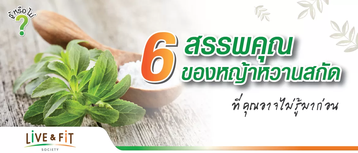 6 สรรพคุณของหญ้าหวานสกัด ที่คุณอาจไม่เคยรู้